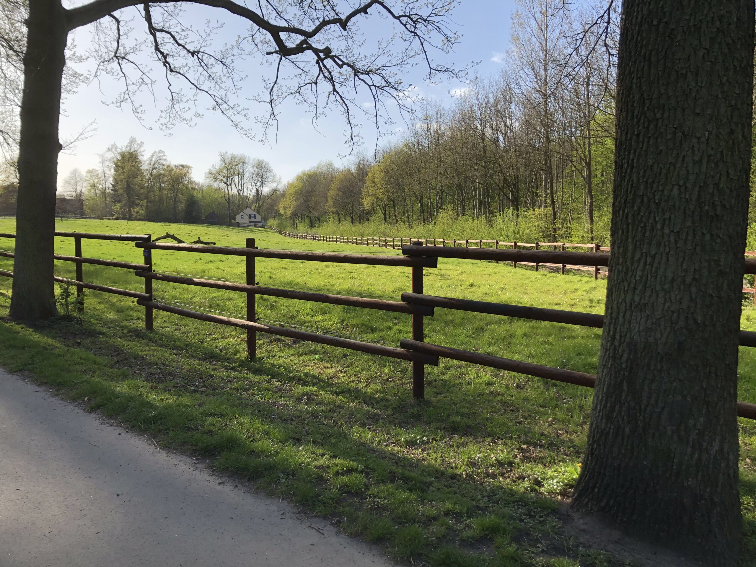 Rundpfosten mit 6 m langen Halbrundriegeln in 10 cm