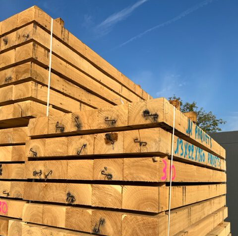 Eiche - Spitzenqualität_5